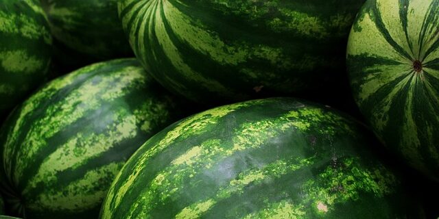 Fra jord til bord: Sådan får du mere smag med sæsonens råvarer